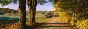 This is the road leading past the Jenne Farm.